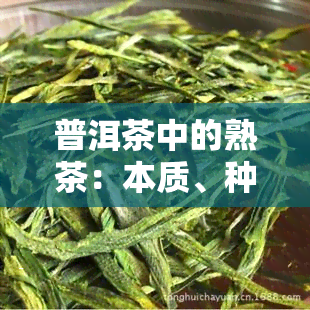 普洱茶中的熟茶：本质、种类与口感全解析