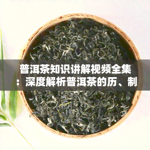 普洱茶知识讲解视频全集：深度解析普洱茶的历、制作工艺和品鉴方法