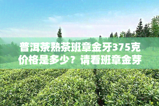 普洱茶熟茶班章金牙375克价格是多少？请看班章金芽357克和普洱茶班章金芽的价格对比