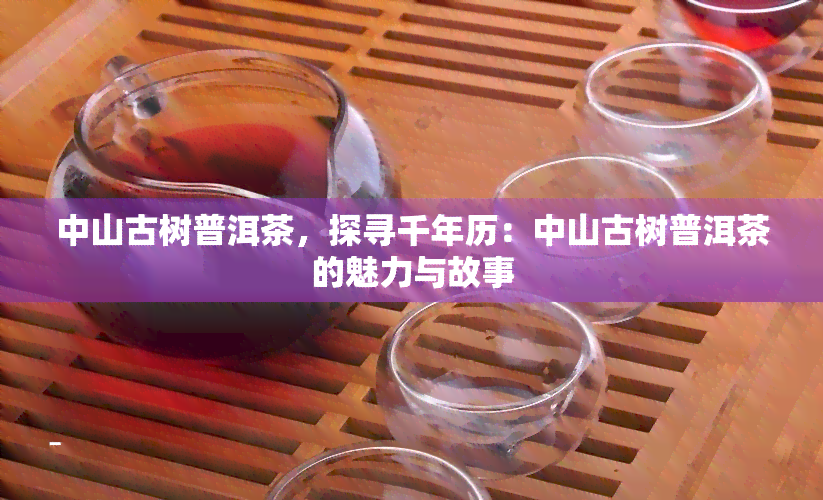 中山古树普洱茶，探寻千年历：中山古树普洱茶的魅力与故事