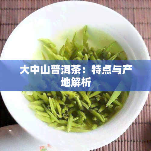 大中山普洱茶：特点与产地解析