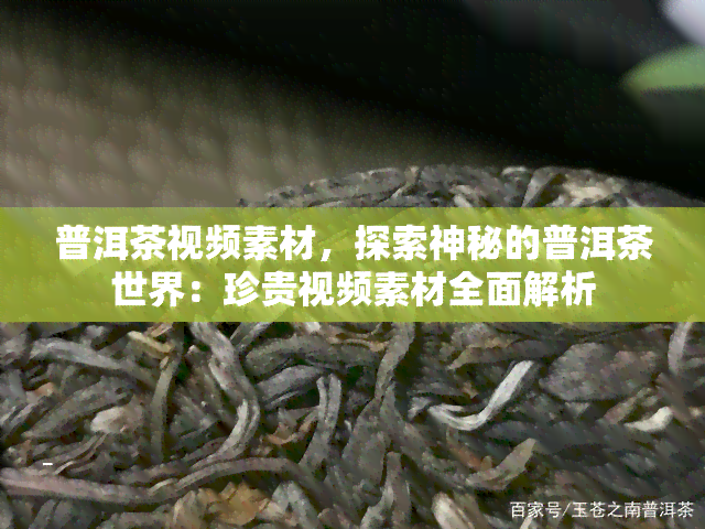 普洱茶视频素材，探索神秘的普洱茶世界：珍贵视频素材全面解析