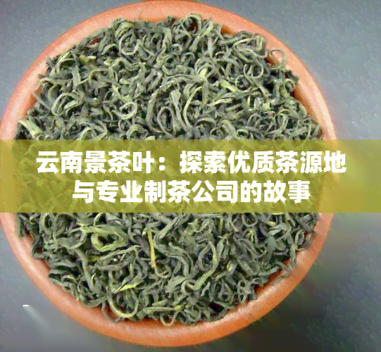 云南景茶叶：探索优质茶源地与专业制茶公司的故事