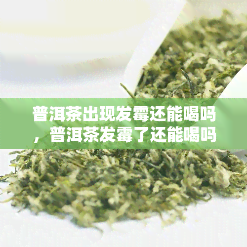 普洱茶出现发霉还能喝吗，普洱茶发霉了还能喝吗？专家告诉你答案！