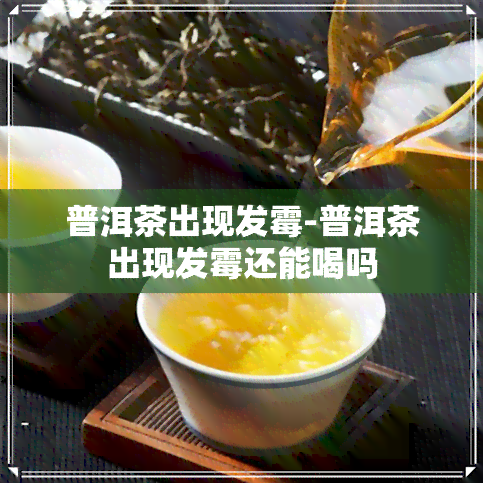 普洱茶出现发霉-普洱茶出现发霉还能喝吗