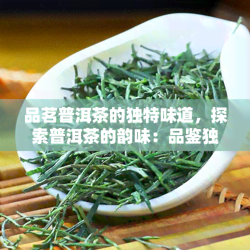 品茗普洱茶的独特味道，探索普洱茶的韵味：品鉴独特口感的奇妙旅程