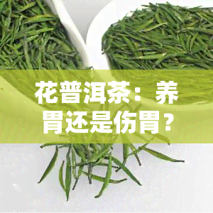 花普洱茶：养胃还是伤胃？探讨其功效与影响