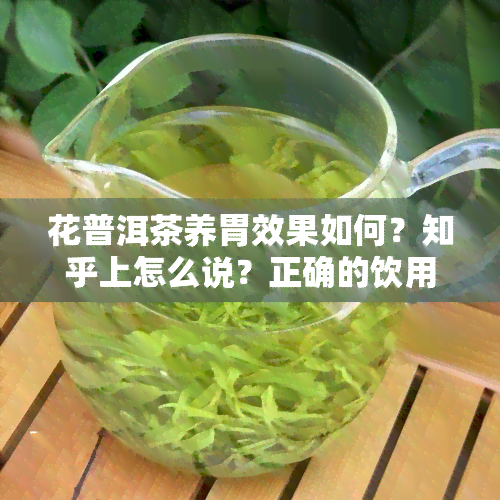 花普洱茶养胃效果如何？知乎上怎么说？正确的饮用方式是什么？