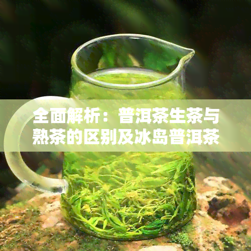 全面解析：普洱茶生茶与熟茶的区别及冰岛普洱茶的比较