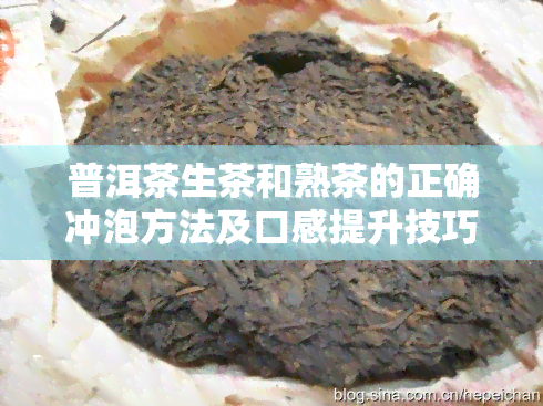 普洱茶生茶和熟茶的正确冲泡方法及口感提升技巧