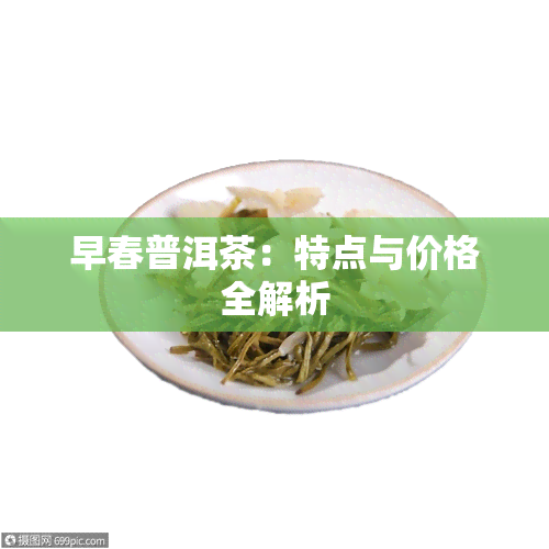 早春普洱茶：特点与价格全解析