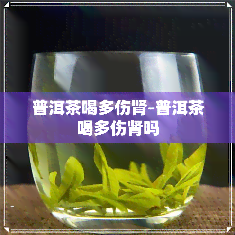 普洱茶喝多伤肾-普洱茶喝多伤肾吗