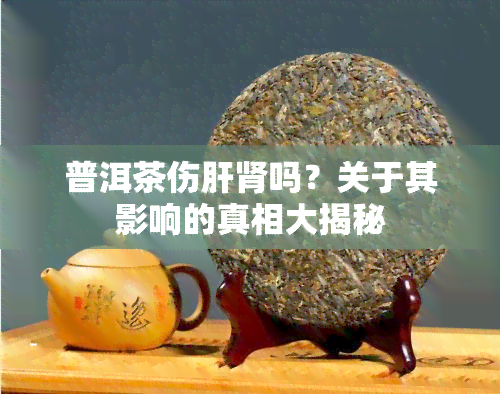 普洱茶伤肝肾吗？关于其影响的真相大揭秘