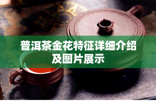 普洱茶金花特征详细介绍及图片展示