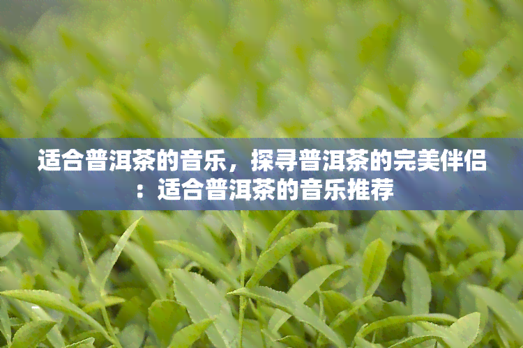 适合普洱茶的音乐，探寻普洱茶的完美伴侣：适合普洱茶的音乐推荐