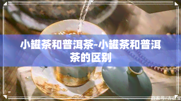 小罐茶和普洱茶-小罐茶和普洱茶的区别