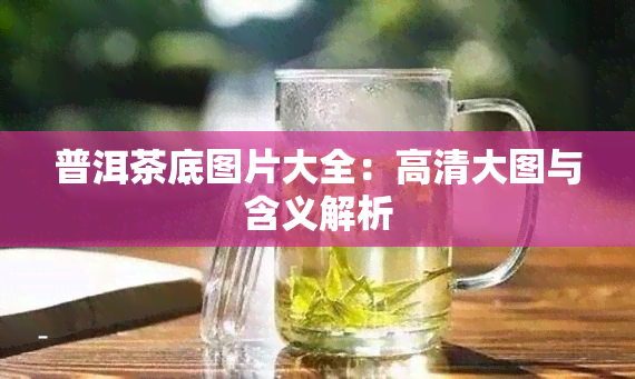 普洱茶底图片大全：高清大图与含义解析