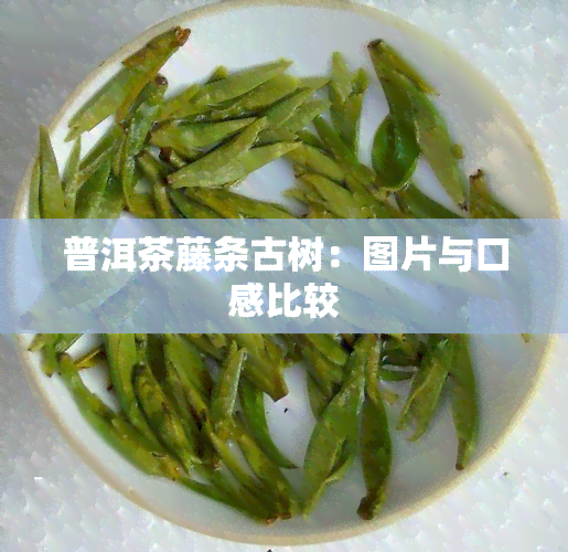 普洱茶藤条古树：图片与口感比较