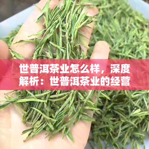 世普洱茶业怎么样，深度解析：世普洱茶业的经营状况与市场表现