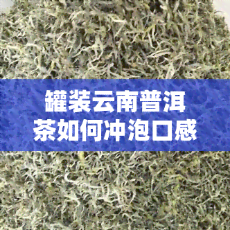 罐装云南普洱茶如何冲泡口感？