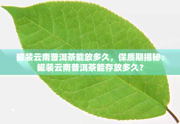 罐装云南普洱茶能放多久，保质期揭秘：罐装云南普洱茶能存放多久？