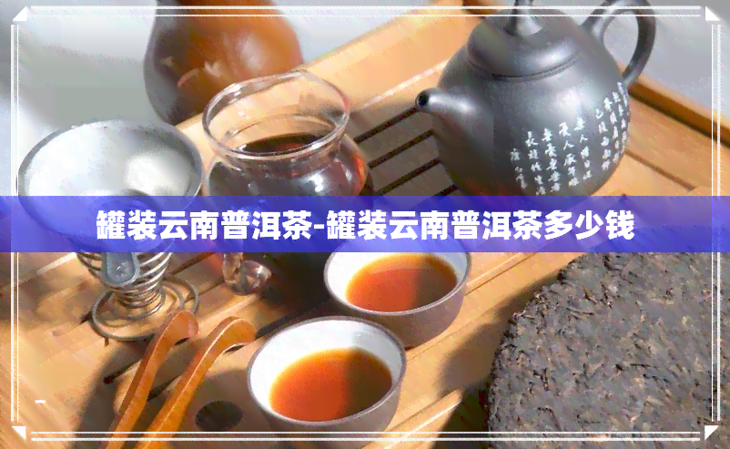 罐装云南普洱茶-罐装云南普洱茶多少钱