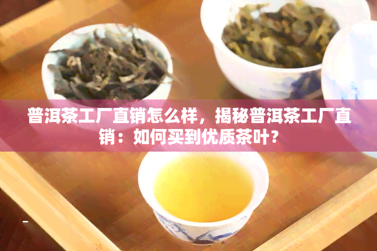 普洱茶工厂直销怎么样，揭秘普洱茶工厂直销：如何买到优质茶叶？