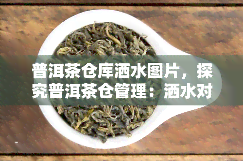 普洱茶仓库洒水图片，探究普洱茶仓管理：洒水对茶叶品质的影响