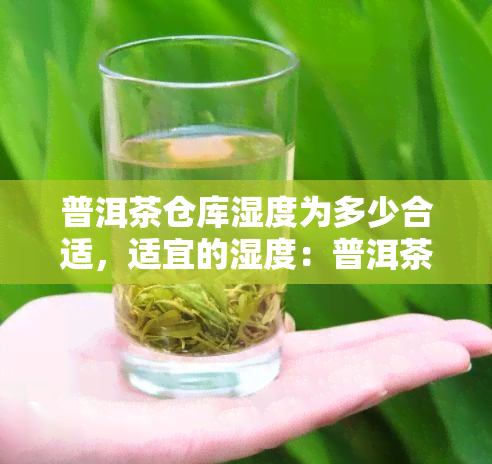 普洱茶仓库湿度为多少合适，适宜的湿度：普洱茶仓库的理想藏条件