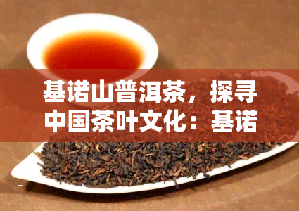 基诺山普洱茶，探寻中国茶叶文化：基诺山普洱茶的魅力与故事