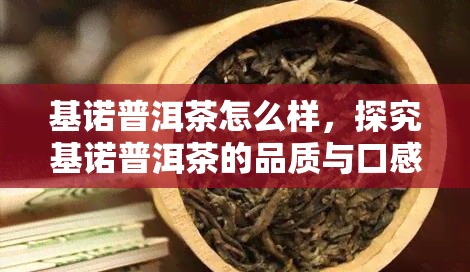 基诺普洱茶怎么样，探究基诺普洱茶的品质与口感，你值得拥有！