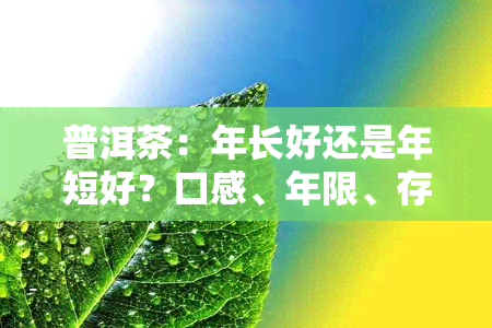 普洱茶：年长好还是年短好？口感、年限、存影响因素全面解析