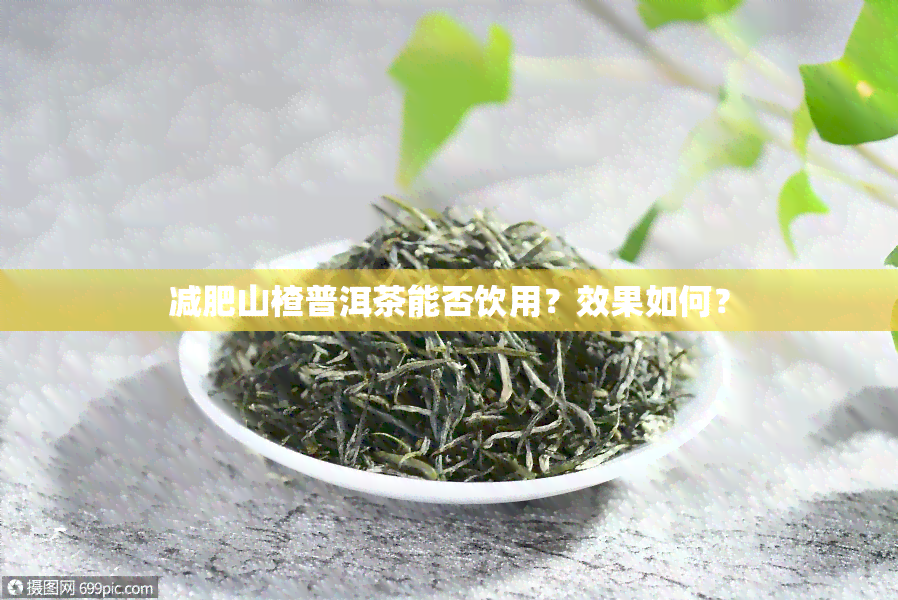 减肥山楂普洱茶能否饮用？效果如何？