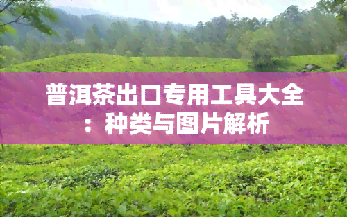 普洱茶出口专用工具大全：种类与图片解析