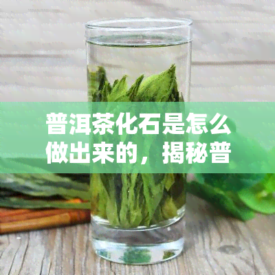 普洱茶化石是怎么做出来的，揭秘普洱茶化石的制作过程