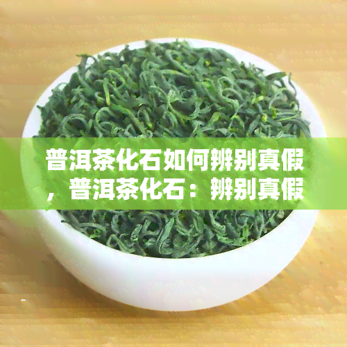 普洱茶化石如何辨别真假，普洱茶化石：辨别真假的技巧与方法