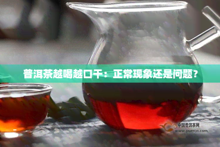 普洱茶越喝越口干：正常现象还是问题？