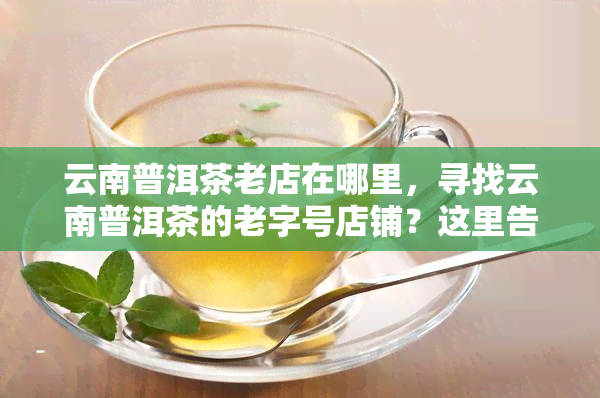 云南普洱茶老店在哪里，寻找云南普洱茶的老字号店铺？这里告诉你地址！