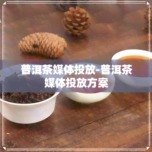 普洱茶媒体投放-普洱茶媒体投放方案