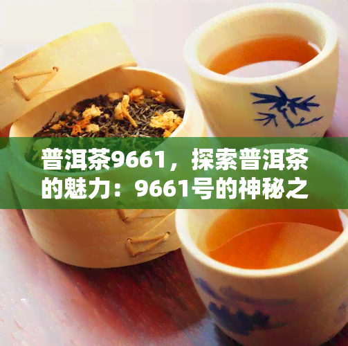 普洱茶9661，探索普洱茶的魅力：9661号的神秘之旅