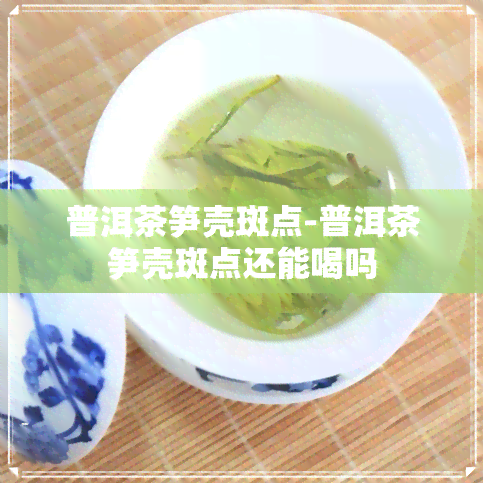 普洱茶笋壳斑点-普洱茶笋壳斑点还能喝吗