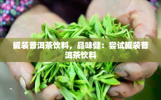 罐装普洱茶饮料，品味健：尝试罐装普洱茶饮料