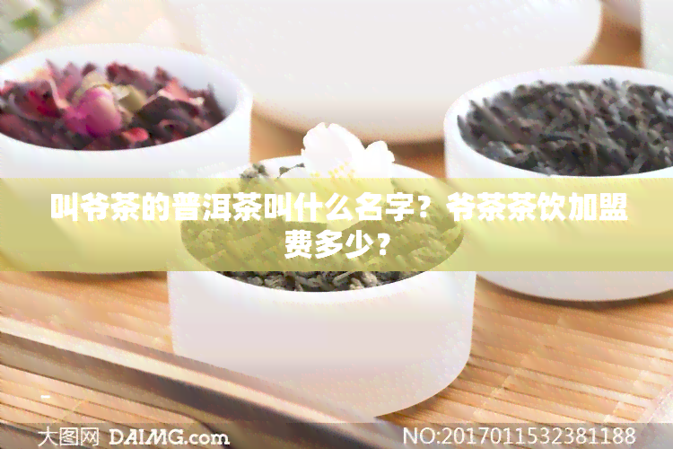 叫爷茶的普洱茶叫什么名字？爷茶茶饮加盟费多少？