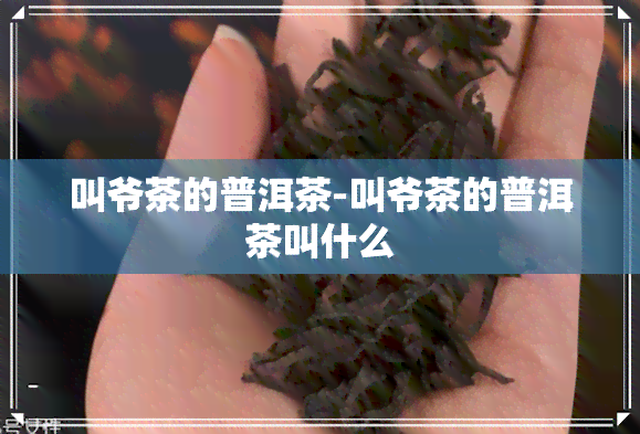 叫爷茶的普洱茶-叫爷茶的普洱茶叫什么