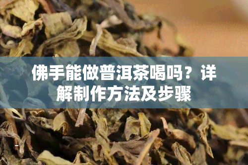 佛手能做普洱茶喝吗？详解制作方法及步骤