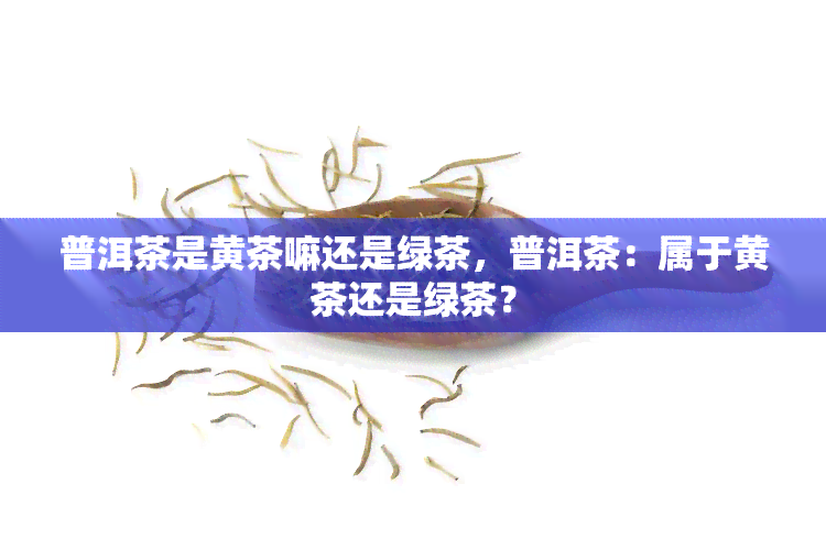 普洱茶是黄茶嘛还是绿茶，普洱茶：属于黄茶还是绿茶？