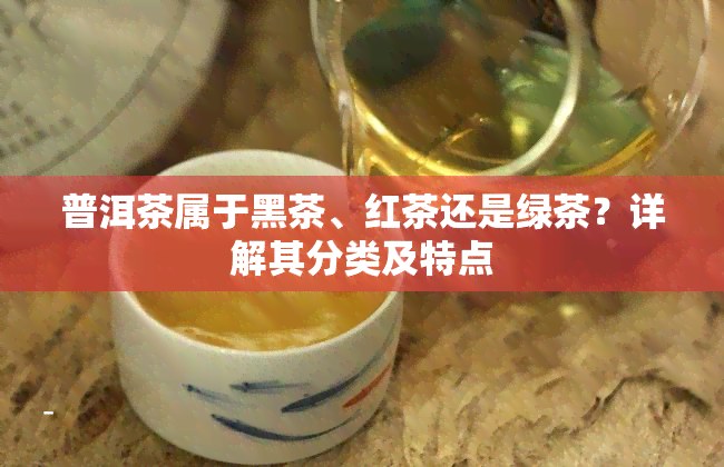 普洱茶属于黑茶、红茶还是绿茶？详解其分类及特点