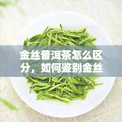 金丝普洱茶怎么区分，如何鉴别金丝普洱茶：一份详细的指南