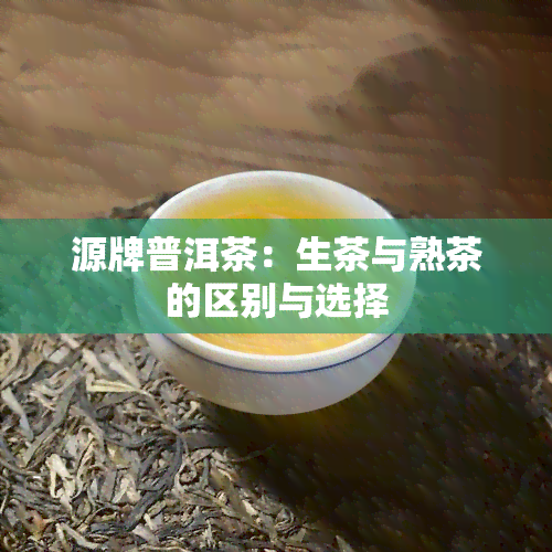 源牌普洱茶：生茶与熟茶的区别与选择