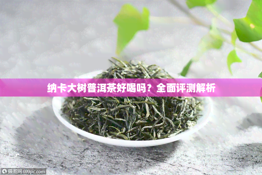 纳卡大树普洱茶好喝吗？全面评测解析